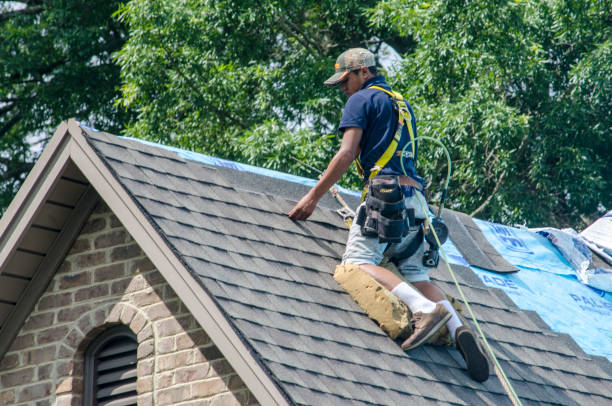 Best New Roof Installation  in Perryville, AR